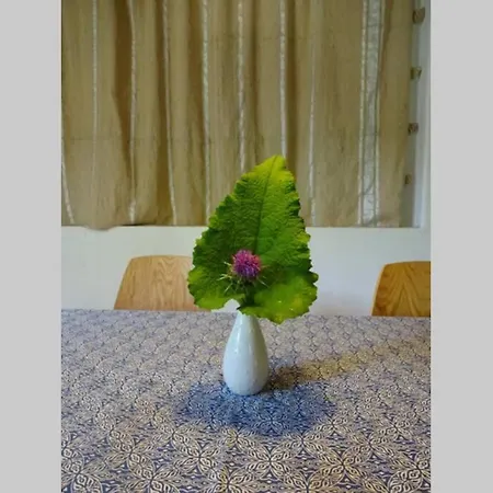 Pont De Valenti Mountain Retreat דירה *